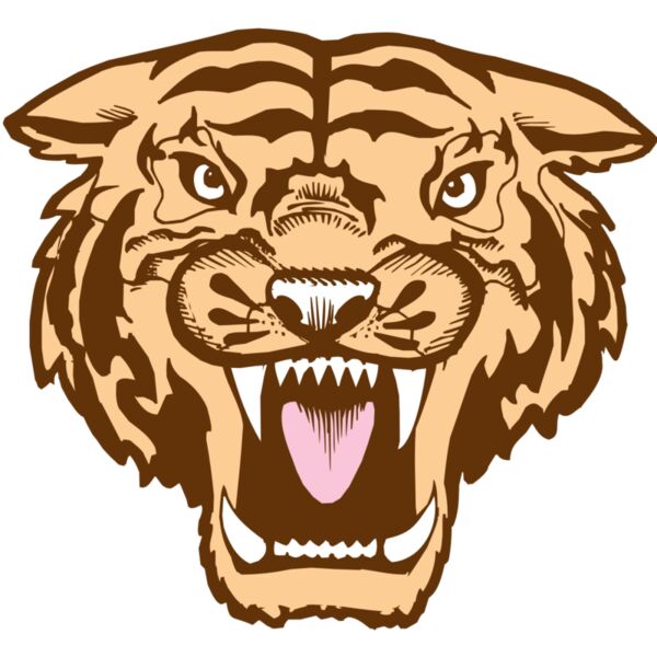 BAW TIGER 05 RC Thumbnail